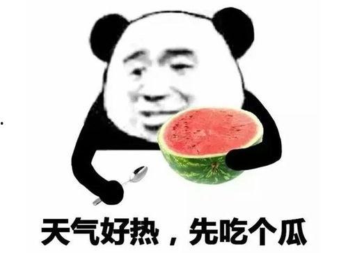 吃瓜表情回复什么好,吃瓜表情背后的趣味解读