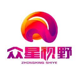 众星娱乐有限公司,璀璨星光下的娱乐王国